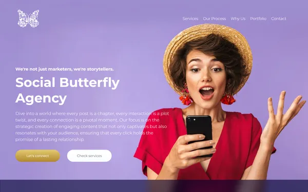 img of B2B Digital Marketing Agency - Social Butterfly Agency